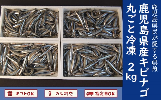 008-65 鹿児島県産キビナゴ丸ごと冷凍2kg