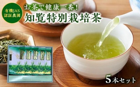 002-22 知覧特別栽培茶5袋セット