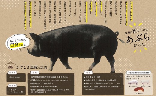 【全4回】かごしま黒豚さつま満喫定期便 052-12