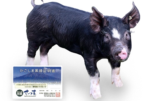 南九州食肉販売株式会社