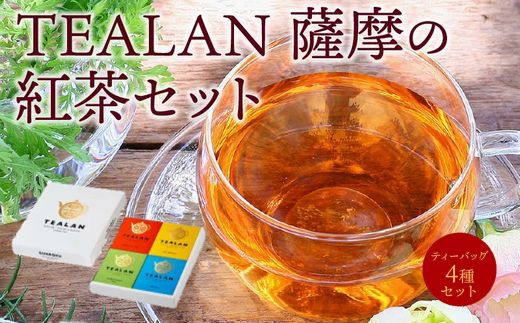 073-02 TEALAN 薩摩の紅茶セット