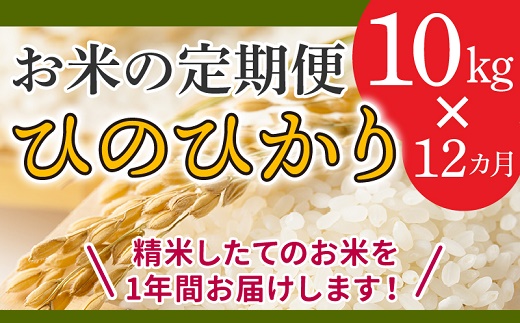 【全12回】鹿児島県産米ひのひかり10kg定期便 013-07