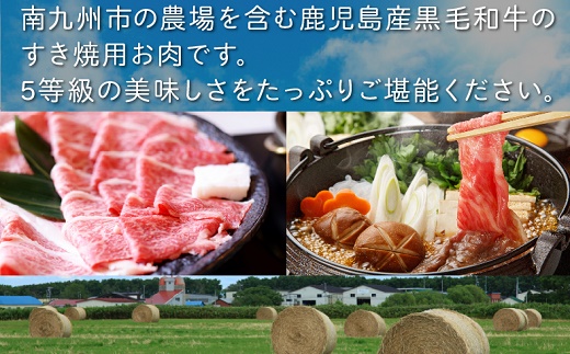 027-29 鹿児島県産黒毛和牛5等級ロースすき焼500g