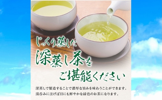 123-03 知覧茶 深蒸し茶・深蒸し茶ティーバッグ・粉末緑茶セット 