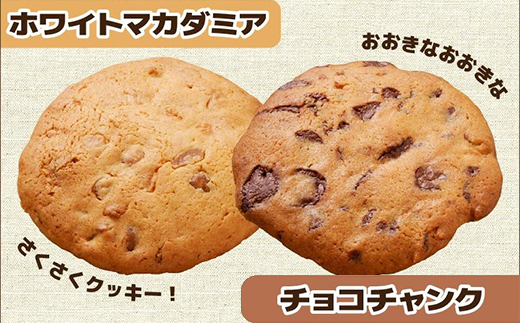 125-01 2種類のサクサククッキー