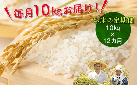 【全12回】鹿児島県産米ひのひかり10kg定期便 013-07