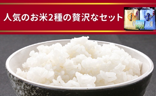 067-03 鹿児島県産米2種食べ比べセット